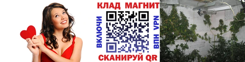 Где купить Рузаевка A-PVP Псилоцибиновые грибы Меф Каннабис Гашиш Cocaine