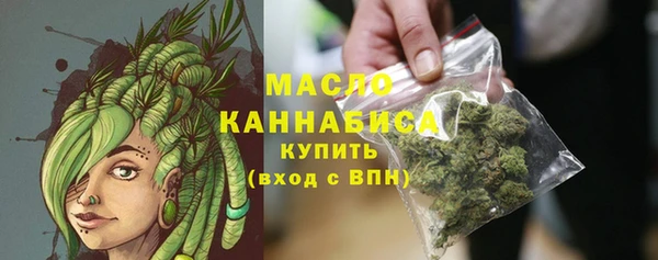 дживик Верхний Тагил