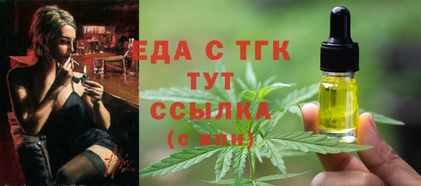 дживик Верхний Тагил