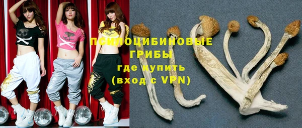 дживик Верхний Тагил