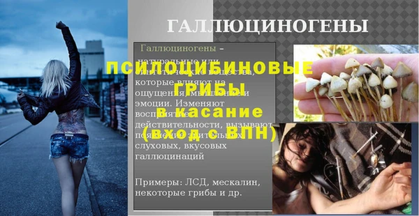 дживик Верхний Тагил