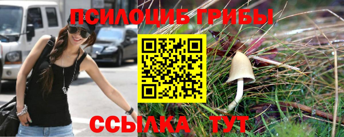 Псилоцибиновые грибы MAGIC MUSHROOMS  Вход с VPN  Рузаевка 